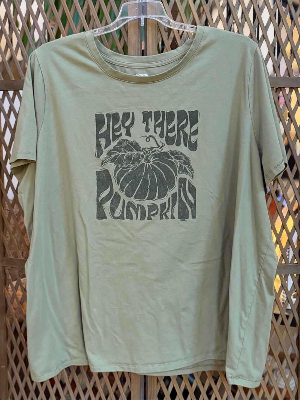 🍃Sonoma Olive Green Tee with Pumpkin 🎃 Graphic
